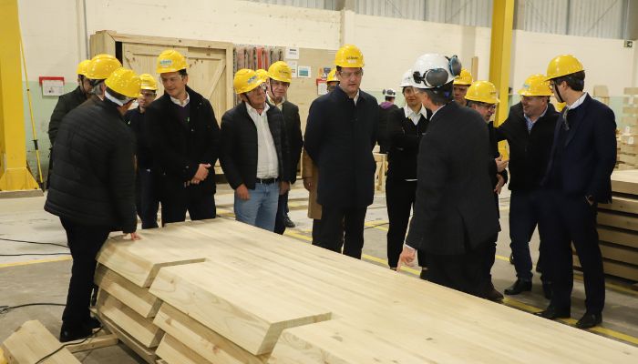 Foto: Ari Dias/AEN Paraná propõe compra de créditos tributários e redução de ICMS para auxiliar setor madeireiro